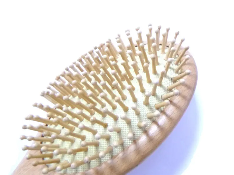 Brosse à cheveux ovale démêlante en bois en poils de sanglier